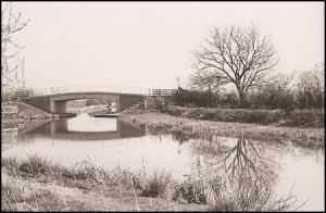 large AD archive_0317 