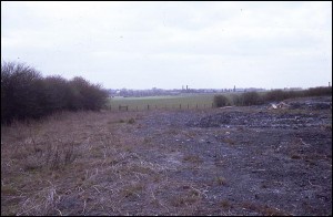 Site of Ilott Wharf in May 1971.   